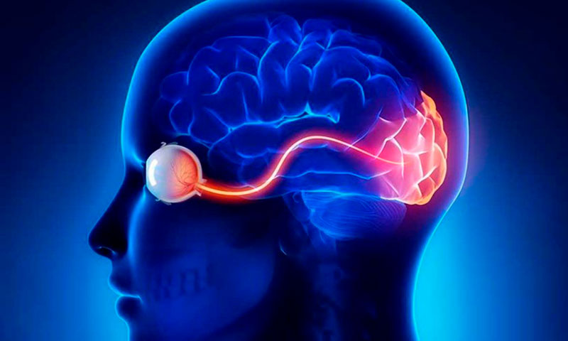 Especializada Neuro-Oftalmologí­a